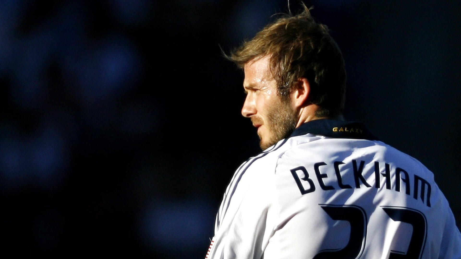 爱游戏体育官方网站-美国马术协会授予凯尔·库克“年度最佳障碍赛骑手”称号。