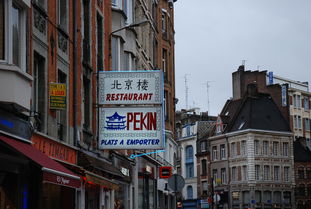 爱游戏-大湾区马拉松创历史最大规模,粤港澳大湾区赛马