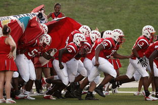 爱游戏娱乐网址-青少年体育锻炼持续性影响因素分析,青少年进行体育锻炼的必要性